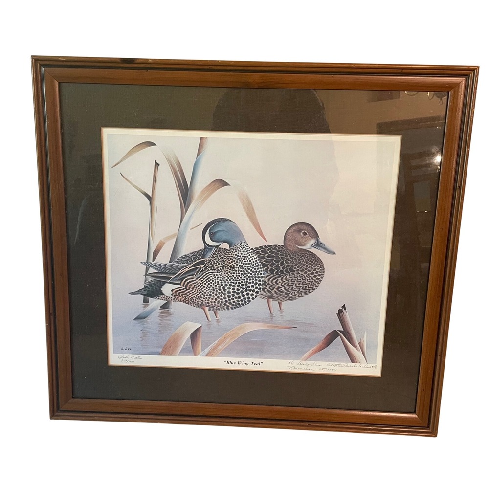 Blue Wing Teal Art Print John P Lee Ducks‎ Signed Numbered St Augustine 1984